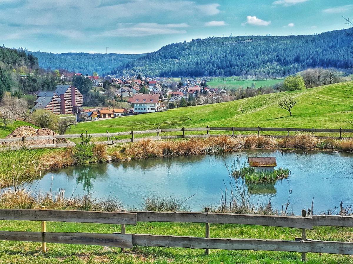 Apartament Schwarzwald Woelkchen Baiersbronn Zewnętrze zdjęcie