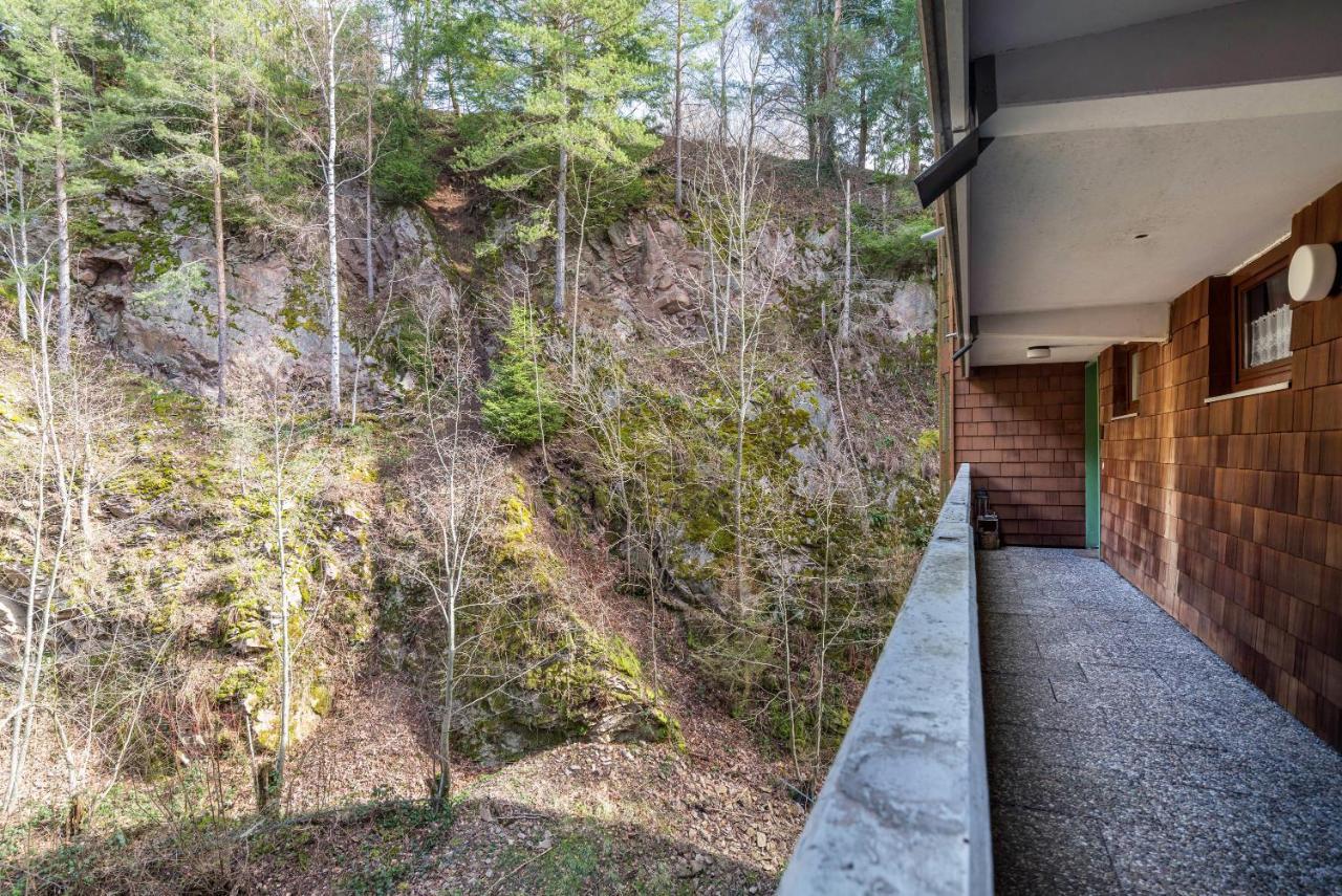 Apartament Schwarzwald Woelkchen Baiersbronn Zewnętrze zdjęcie